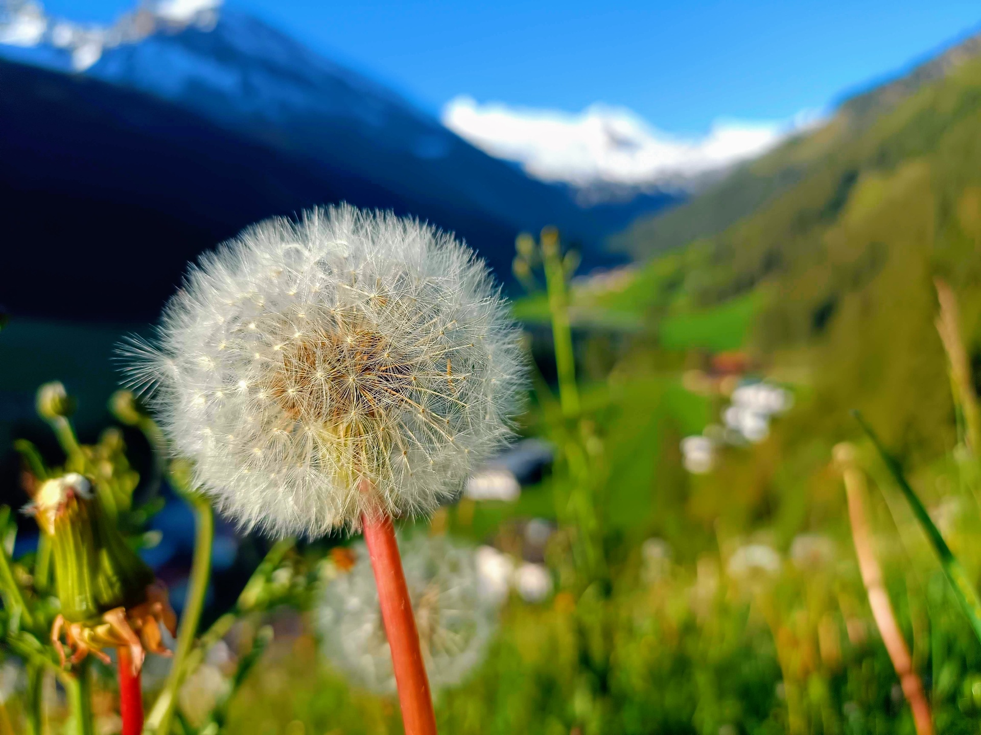 Landschaft im Zillertal rund um Tux
